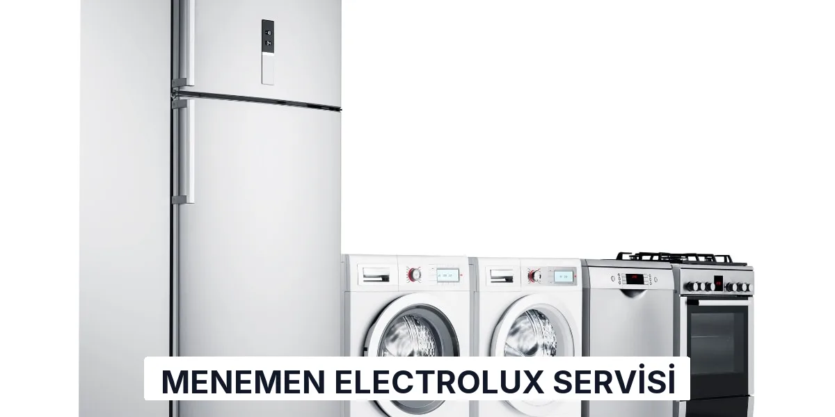 Menemen Electrolux Servisi