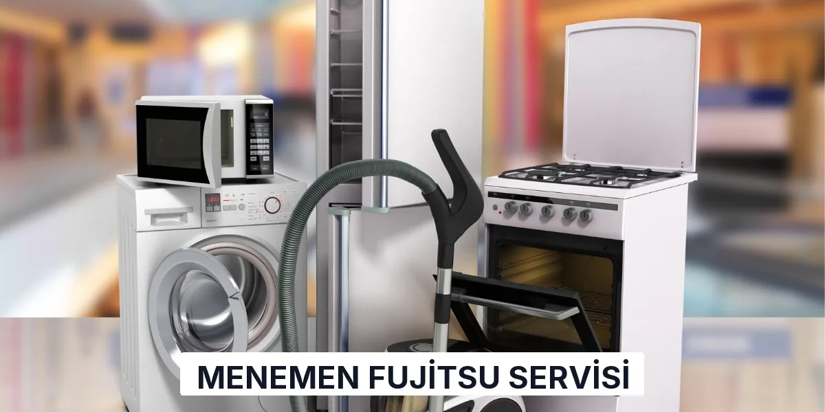 Menemen Fujitsu Servisi