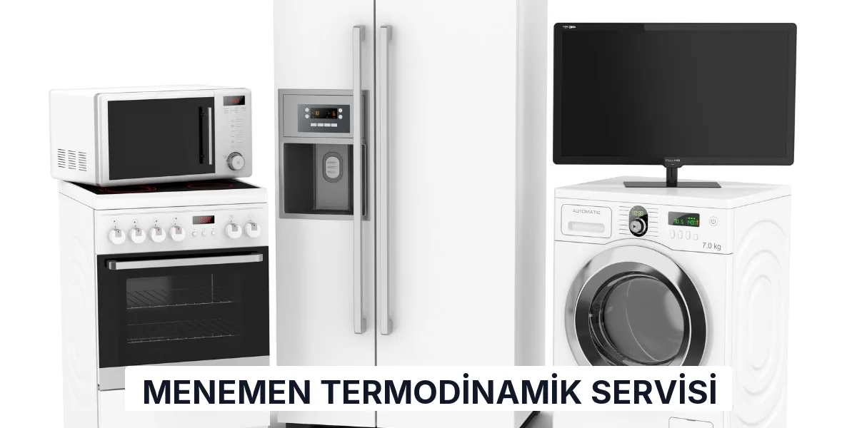 Menemen Termodinamik Servisi